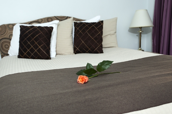 Airport Hotel Mara (Riga)